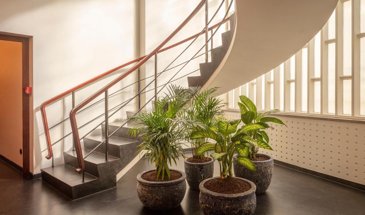 Ceuta Terrace Suites Porto Exterior photo